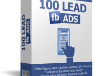 100 lead fb ads